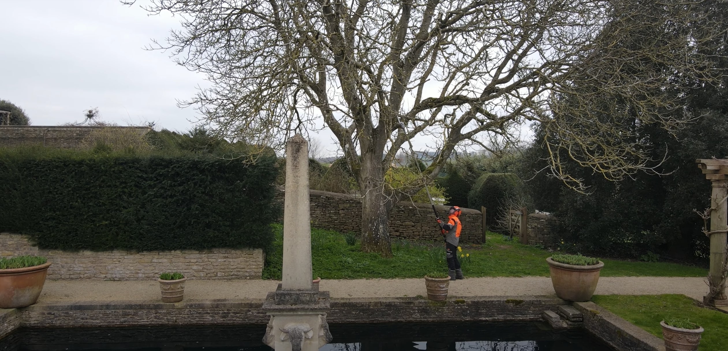 Tree trimming and pruning services in Roswell, NM